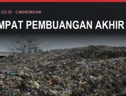 Dua TPA Bulukumba Penuh dan Jalan Keluarnya