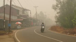 Udara Sulsel Kurang Sehat, Asap Kiriman dari Kalimantan